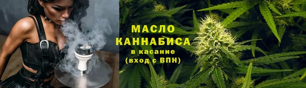 индика Абаза