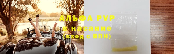 индика Абаза