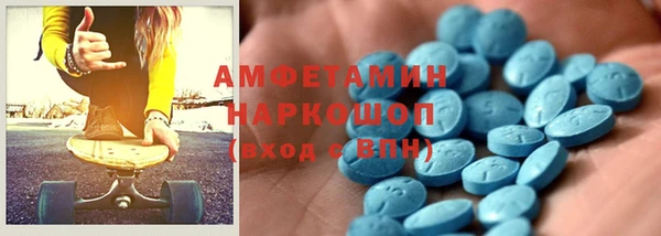 индика Абаза