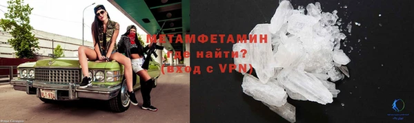 прущие грибы Ладушкин