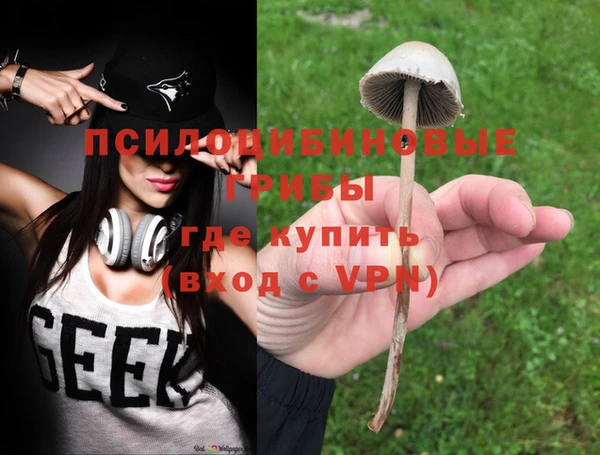 ГАЛЛЮЦИНОГЕННЫЕ ГРИБЫ Балашиха