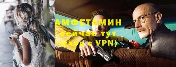 прущие грибы Ладушкин