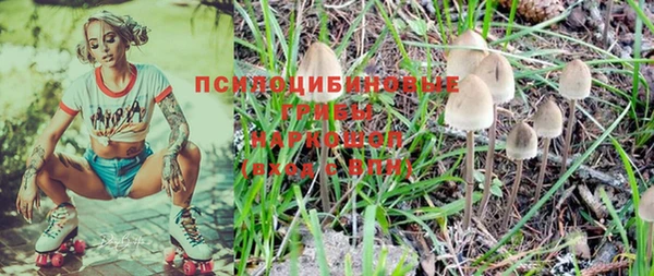 индика Абаза